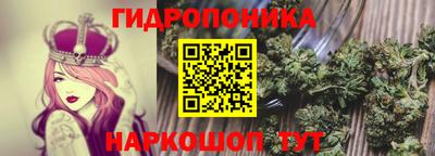 индика Тара