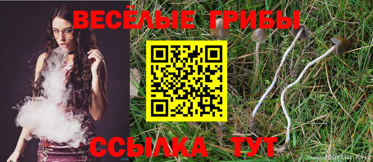 Псилоцибиновые грибы прущие грибы  Вход с VPN  Галлюциногенные грибы GOLDEN TEACHER  Нижнекамск 